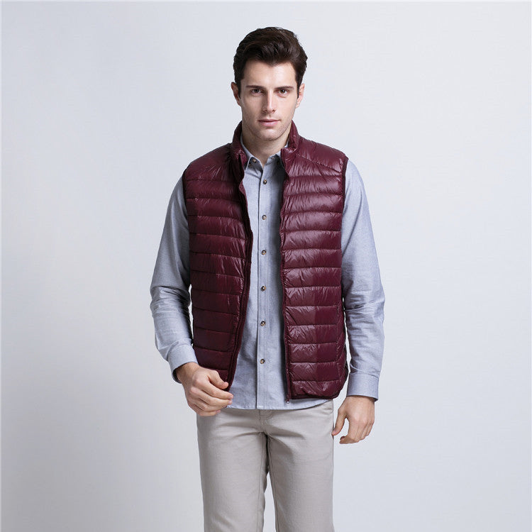 Winter Whisper Down Vest