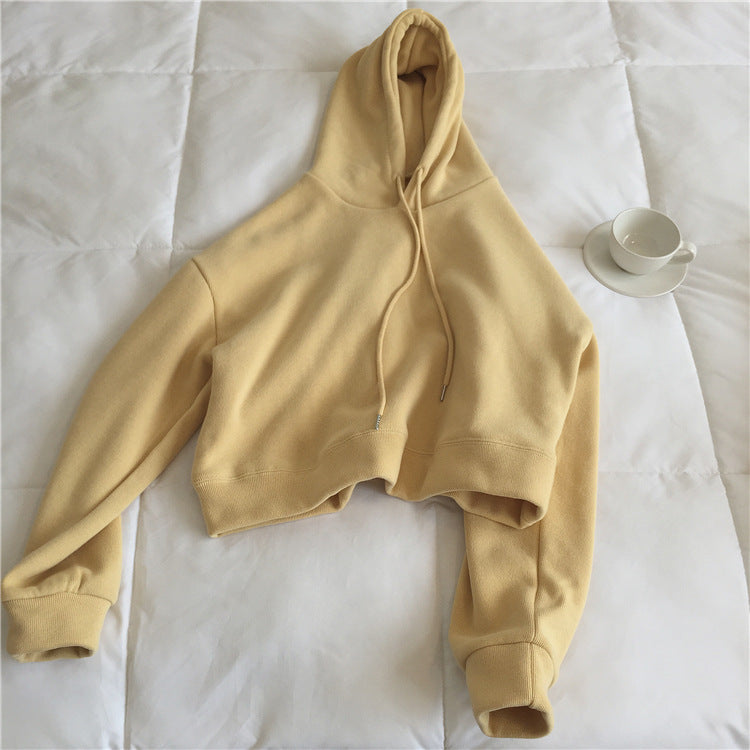 Crosswave Chic Short Sweater