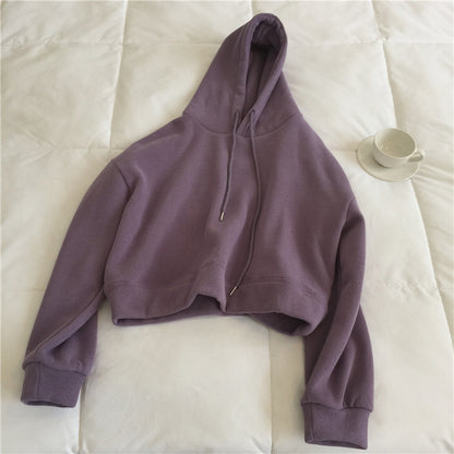 Crosswave Chic Short Sweater