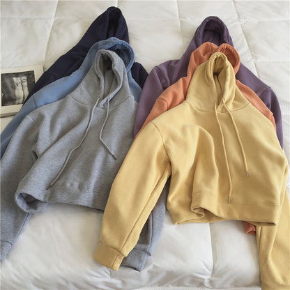 Crosswave Chic Short Sweater