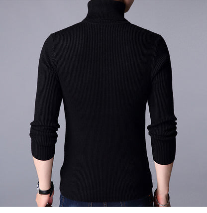 Minimalist Ease: Solid Turtleneck Comfort Sweater