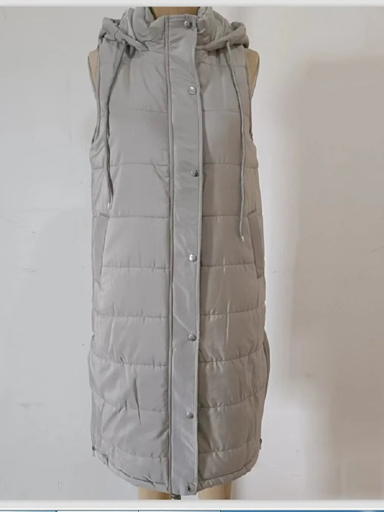 Arctic Aura Hooded Down Vest