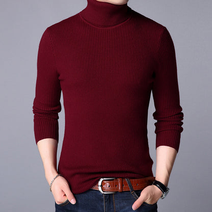 Minimalist Ease: Solid Turtleneck Comfort Sweater
