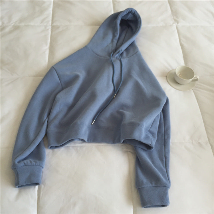 Crosswave Chic Short Sweater