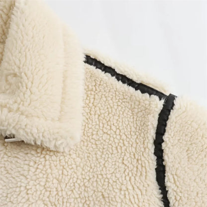 Chic Fall Outfit Ideas European Style Artificial Fur Coat For Autumn Outfits
