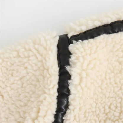 Chic Fall Outfit Ideas European Style Artificial Fur Coat For Autumn Outfits