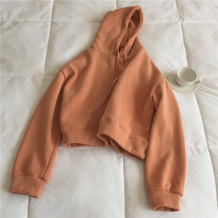Crosswave Chic Short Sweater