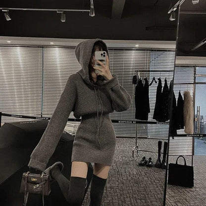 Hooded Sweater Dress for Women - itsshirty